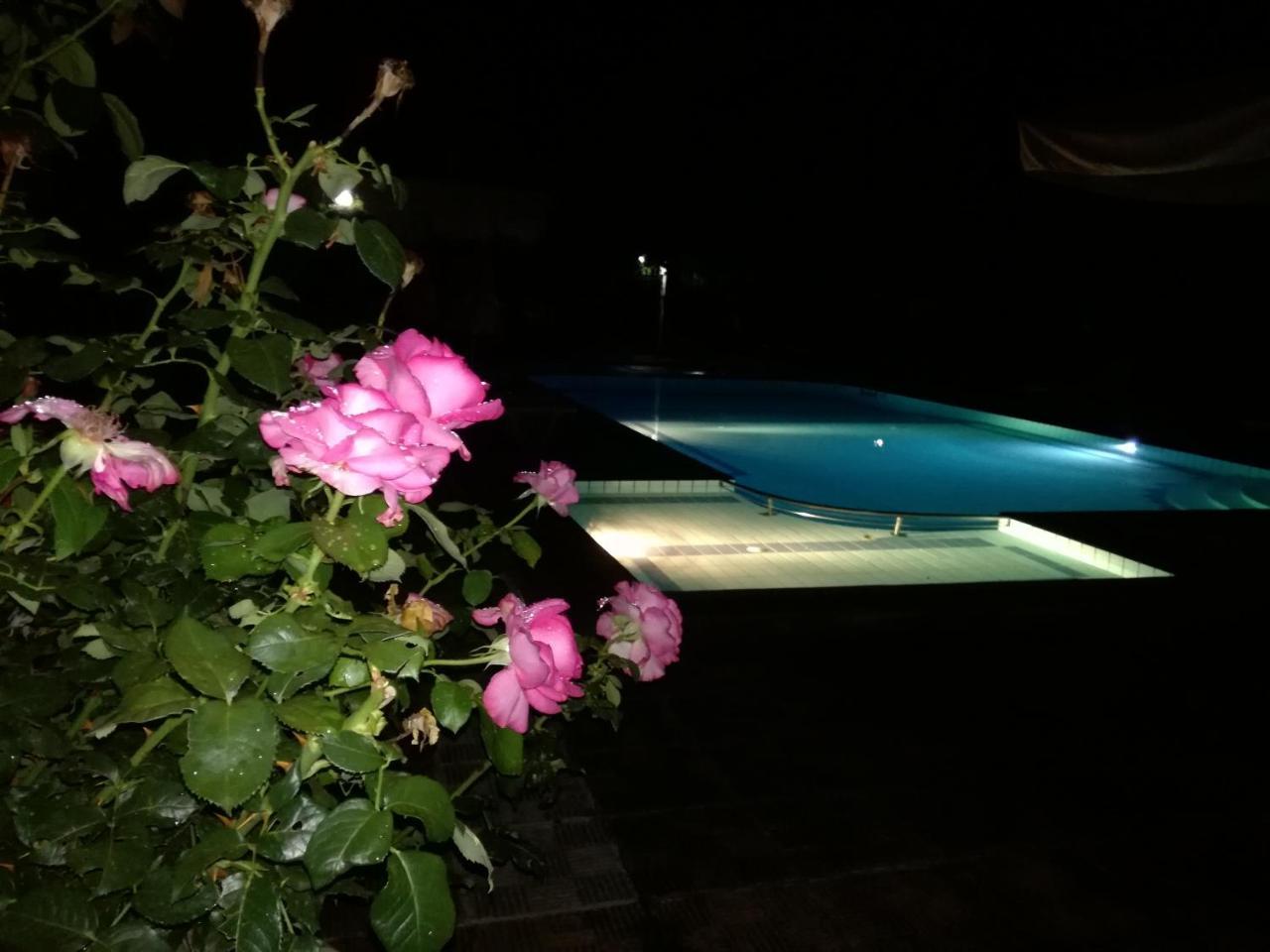 Prespa Resort & Spa Platy  Екстер'єр фото